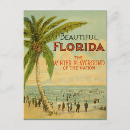 Postales de la Vieja Florida Winter Playground