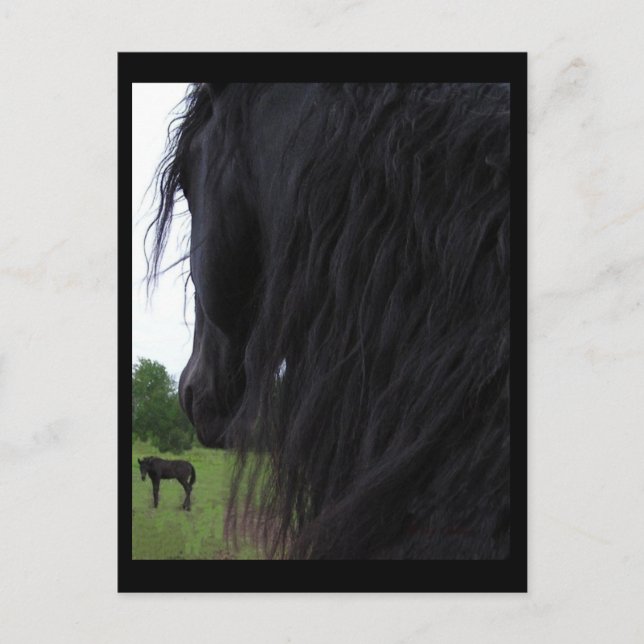 Postales de la vista Frisia (Anverso)