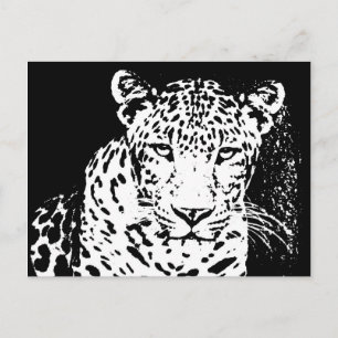 Postales De Leopardo En Blanco Y Negro