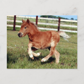 Postales de libertad