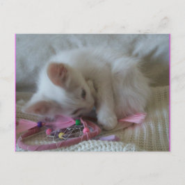 Postales de Little Girl Kitty #2