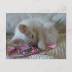 Postales de Little Girl Kitty #2