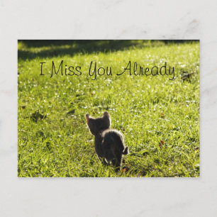 Postales de Lonely Kitten "Missing You" *Personali