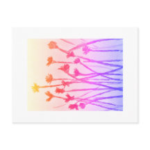 Postales de los días de verano