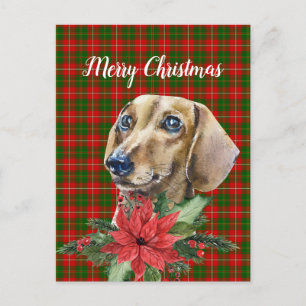 Postales de los Navidades de perros de color acuát