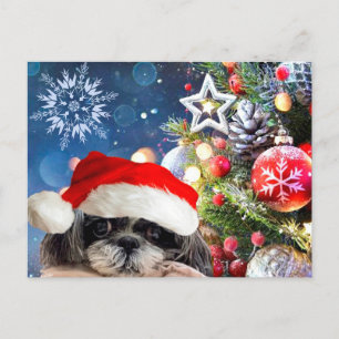 Postales de los navidades Santa Shih Tzu