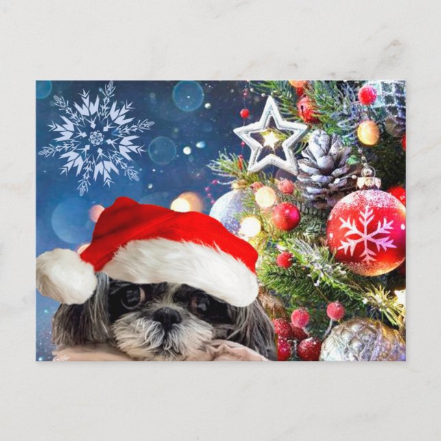 Postales de los navidades Santa Shih Tzu (Anverso)