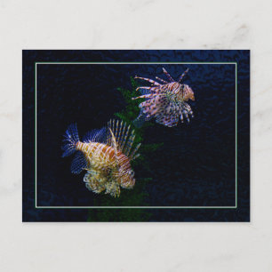 Postales de los pares del Lionfish