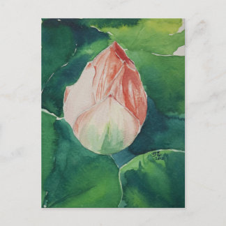 Postales de Lotus color de agua