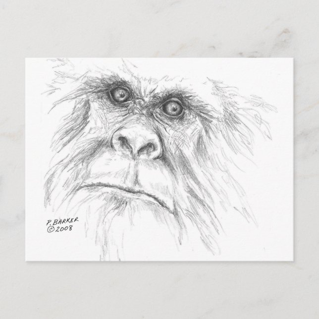 Postales de LTB (Anverso)