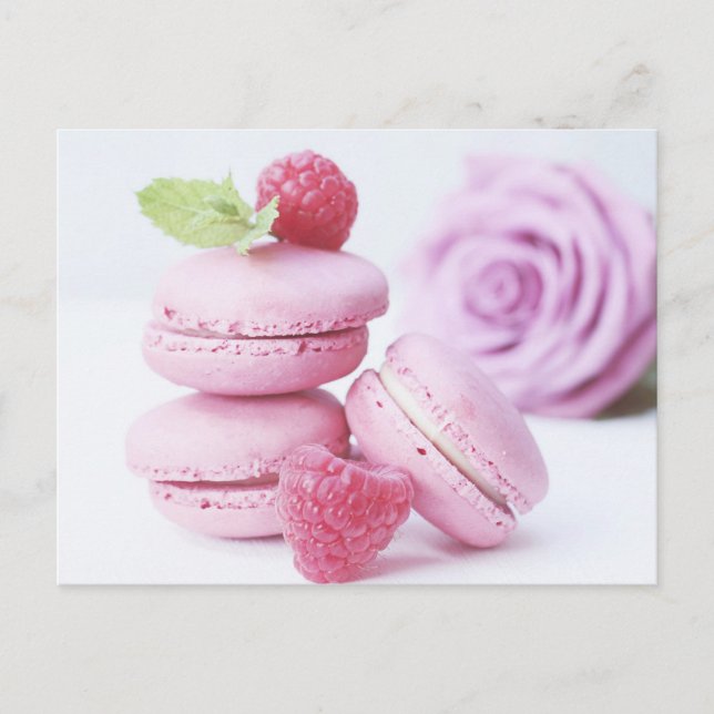 Postales de Macarons Rosa Rosado (Anverso)