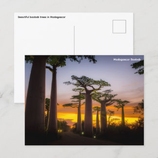 Postales de Madagascar