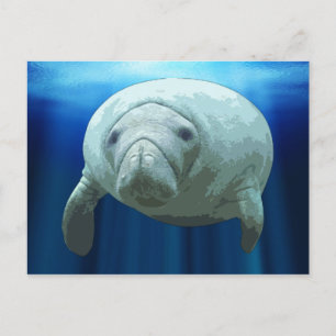 Postales de Manatee