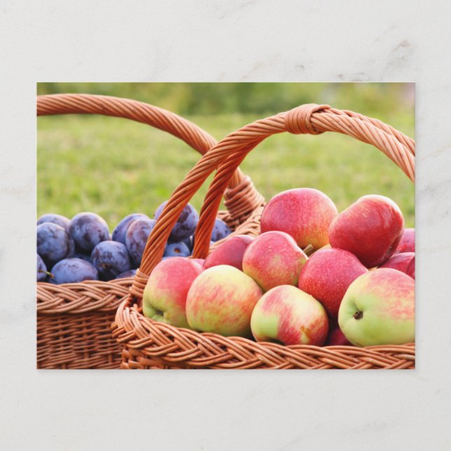 Postales de manzanas y ciruelas (Anverso)