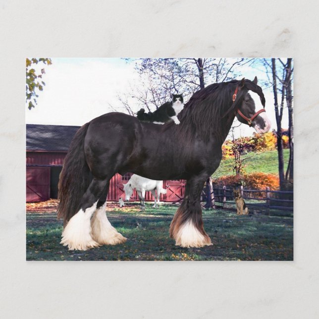 Postales de "marea nueva" (Anverso)