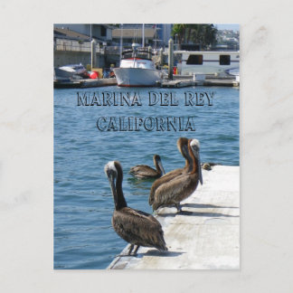 Postales de Marina Del Rey Belicans.
