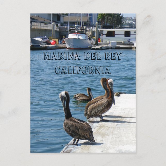 Postales de Marina Del Rey Belicans. (Anverso)