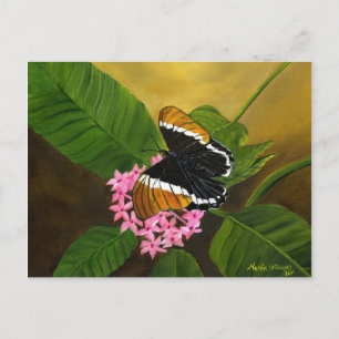 Postales de mariposa con puntiaguda de Maria Willi