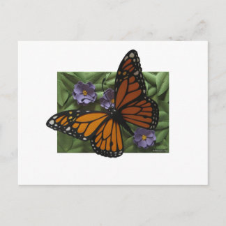 Postales de mariposa monarca