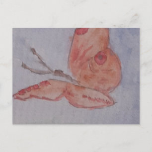 Postales de mariposa rosada de verano