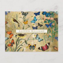 Postales de mariposas botánicas y aves de época