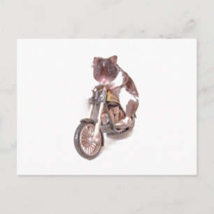 Postales de martillo de motocicleta