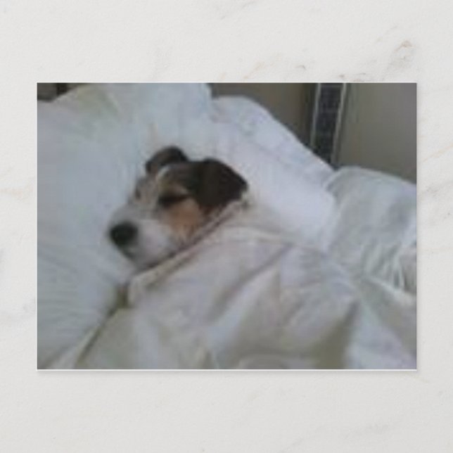 Postales de máxima calidad (Anverso)