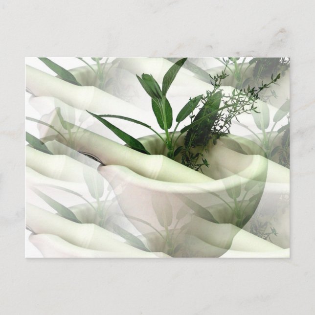 Postales de medicina alternativa (Anverso)