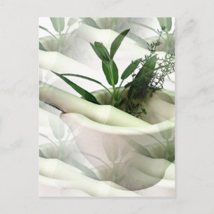 Postales de medicina alternativa