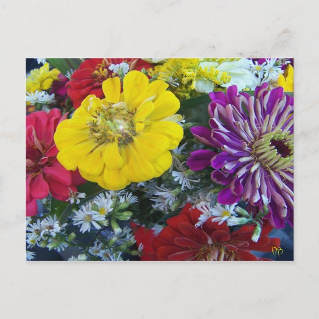 Postales de mercado para agricultores (Anverso)