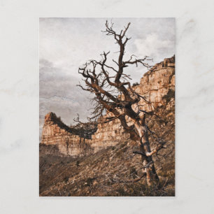 Postales de Mesa Verde