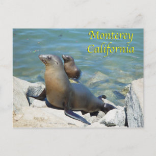 Postales de Monterey California