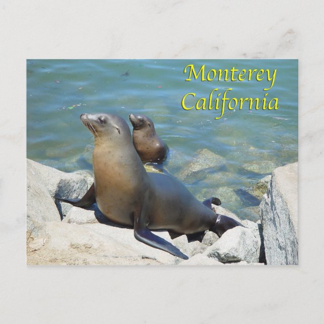 Postales de Monterey California (Anverso)