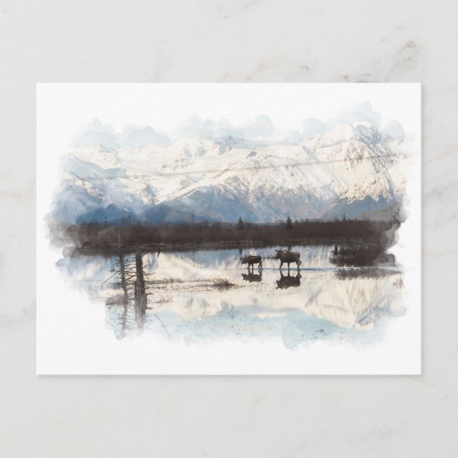 Postales de Moose (Anverso)