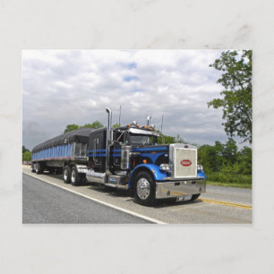 Postales de Moose Peterbilt 359