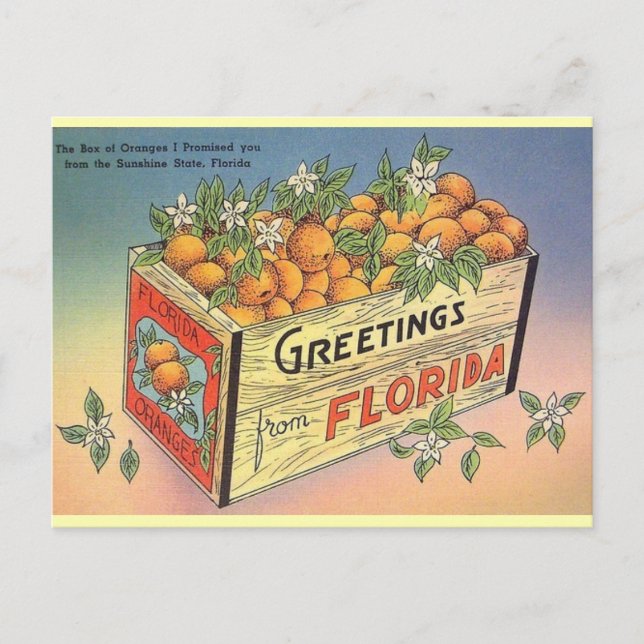 Postales de Naranjas de la Florida de la época de  (Anverso)
