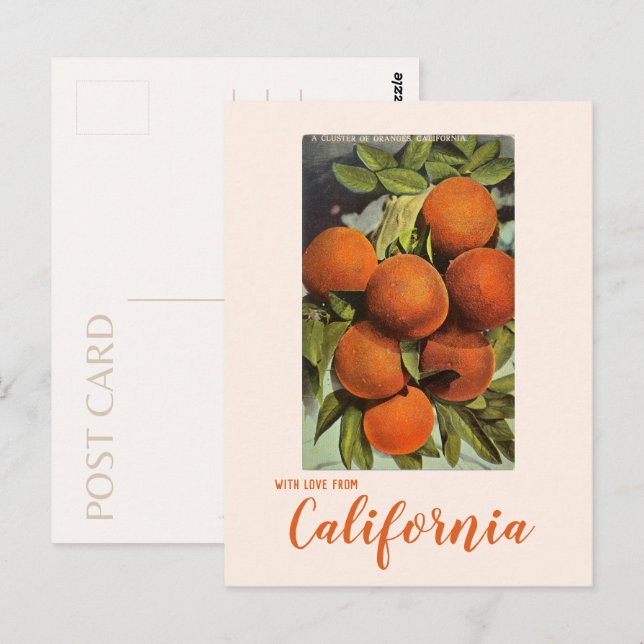 Postales de Naranjas del Sur de California (Anverso / Reverso)