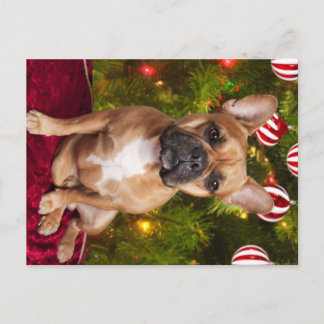 Postales de Navidades de Bulldog de Francia