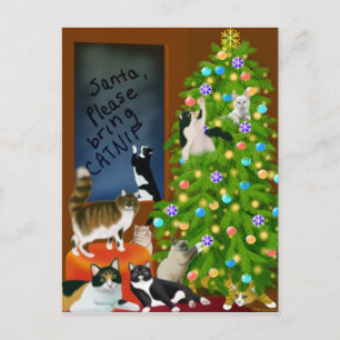 Postales de Navidades de familia felina