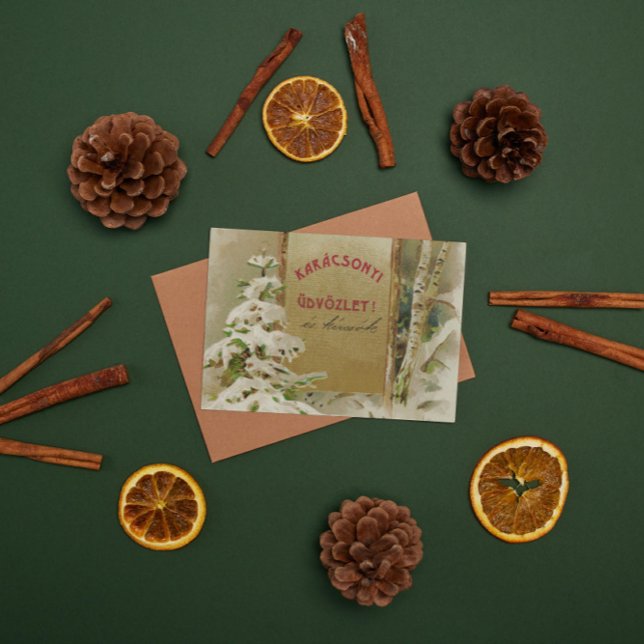 Postales de navidades de Hungría 1901 (Subido por el creador)