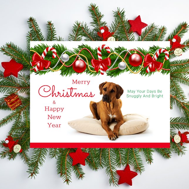 Postales de Navidades de la rebelión de Rhodesia (Rhodesian Ridgeback Christmas Card)