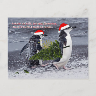 Postales de Navidades de Playa Antártica