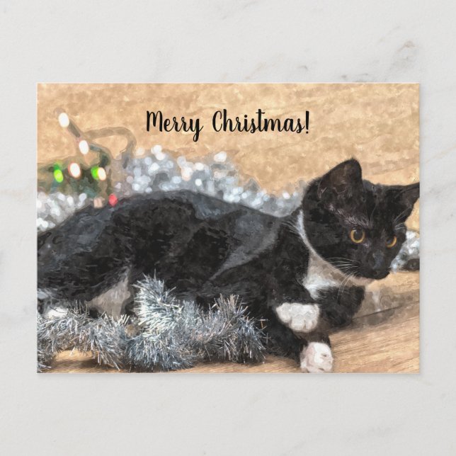Postales de Navidades de Tinsel y Luces de Tuxedo  (Anverso)