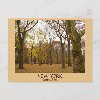 Postales de New York Postales de NYC Central Park