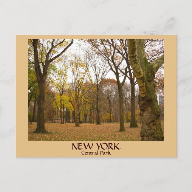 Postales de New York Postales de NYC Central Park (Anverso)