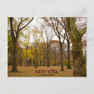 Postales de New York Postales de NYC Central Park