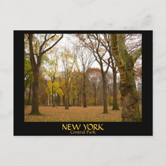 Postales de New York Postales de NYC Central Park