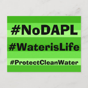 Postales de NoDAPL