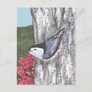 Postales de nuthatch blanco y flores rosadas