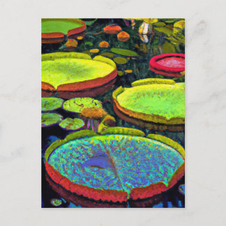 Postales de Nymphaeales